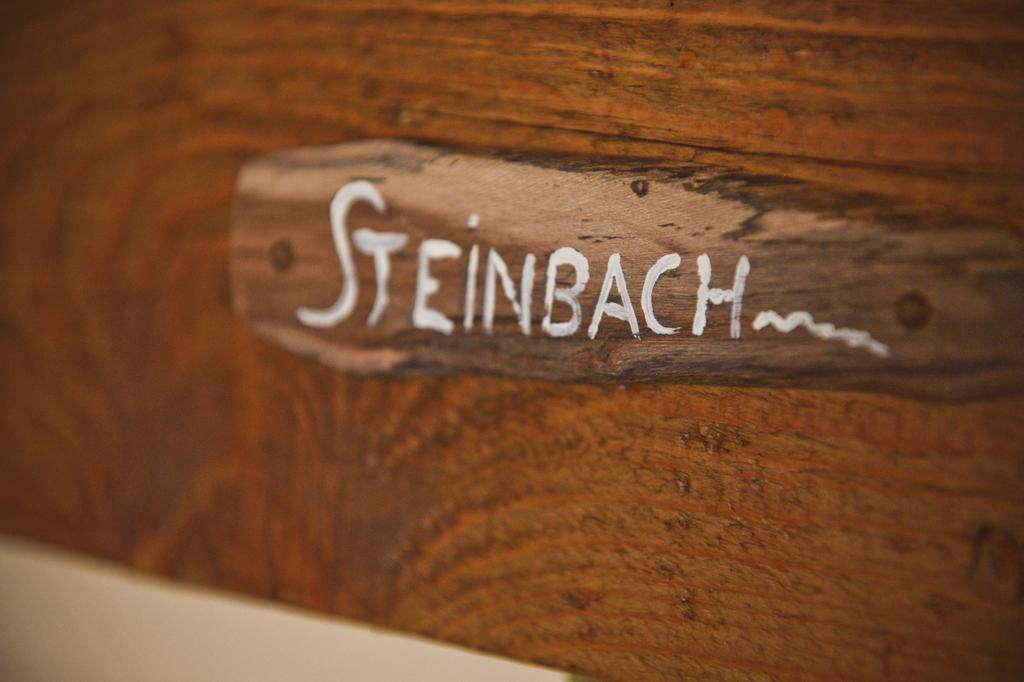 Pension Zierlinger Senftenberg Екстериор снимка